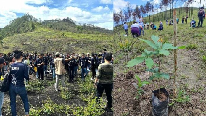 campañas de reforestación en La Tigra