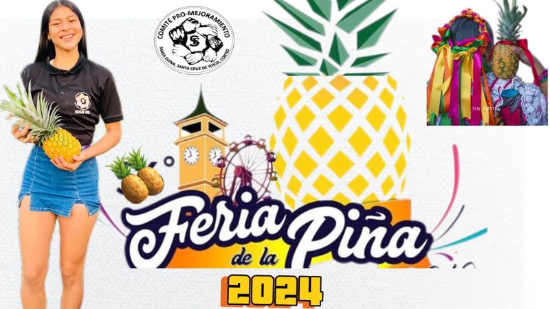 Llevaran a cabo el primer festival de la piña en Santa Cruz de Yojoa