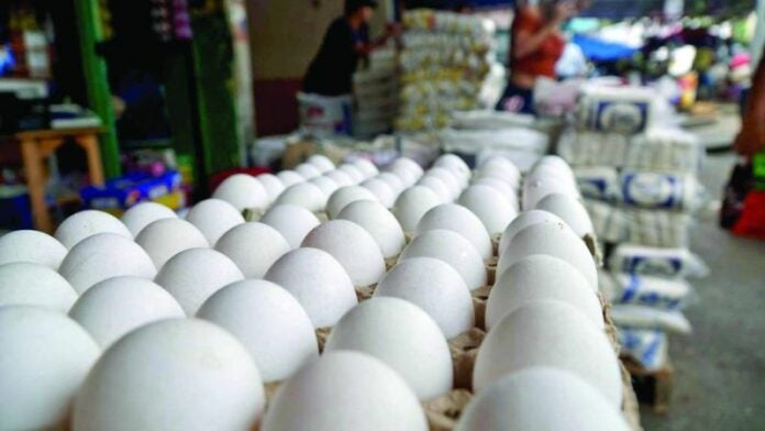 Productores anuncian incrementos al cartón de huevos en Comayagua