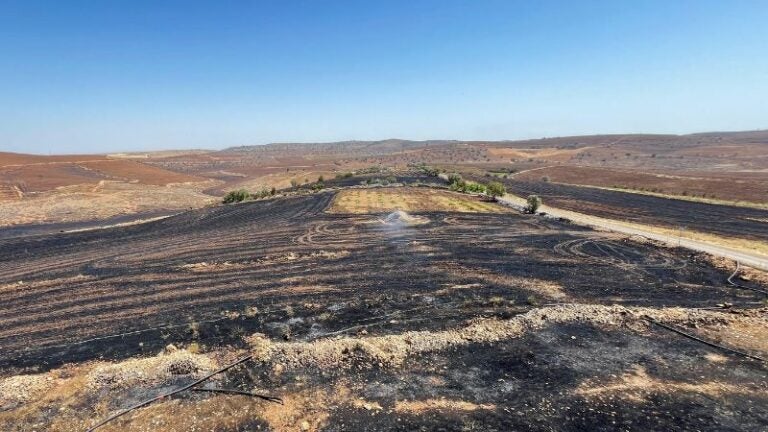 Incendio forestal en Turquía