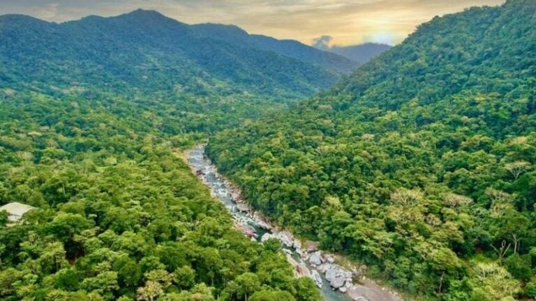 La UEy el IICA destinarán $17,1 millones para proyecto ´Bosques Vivos´ de Honduras