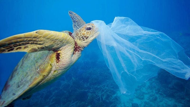 Productos de plástico que serán prohibidos en Colombia