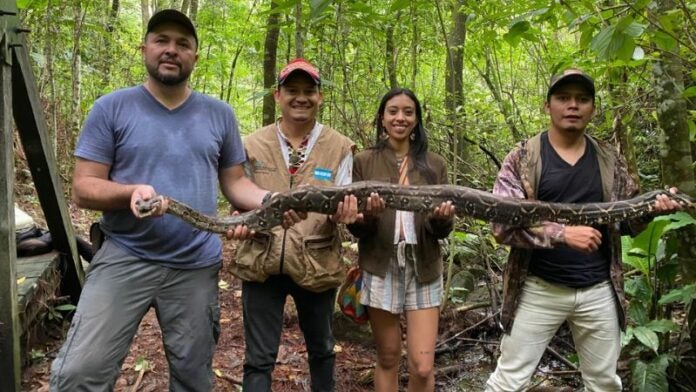 Liberan a una boa de 2.3 metros en el Parque Nacional Montaña de Celaque