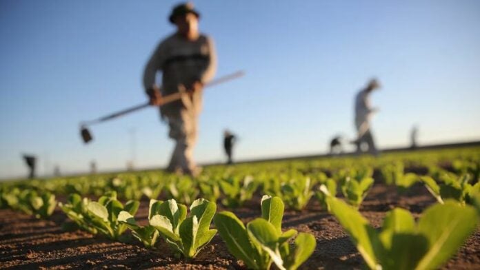 Analizan migración circular de hondureños