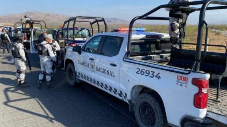 Hallan cuerpos carretera México