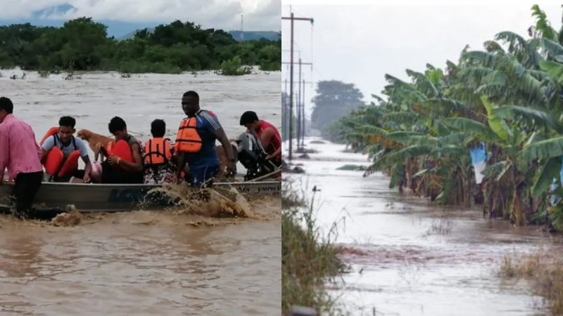 Miles de hectáreas de cultivos se perdieron tras las inundaciones.