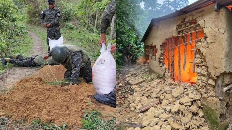 Destruyen casa depredadores bosque en Olancho