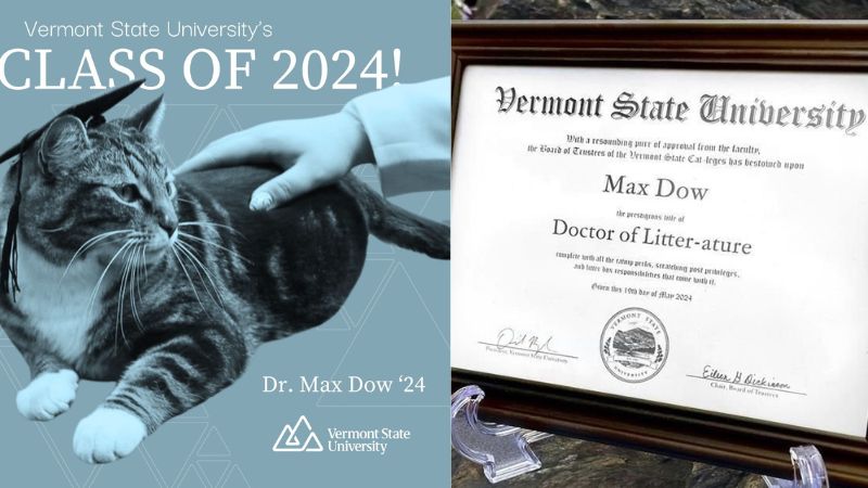 Una universidad de Vermont ha otorgado un doctorado honoris causa en "litter-ature"