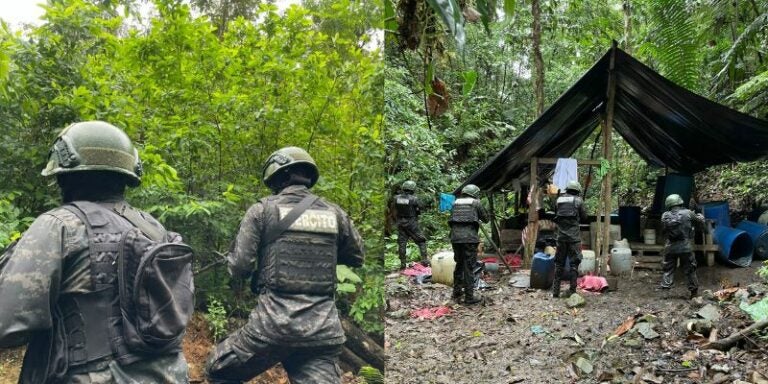 FFAA localiza plantación de arbustos de hoja de coca en Gracias a Dios