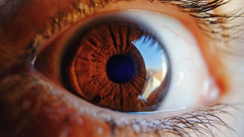 Científicos modifican ADN de la retina