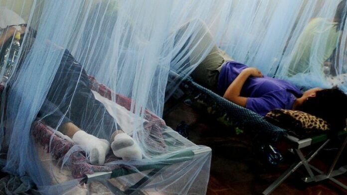 muerte menores por dengue