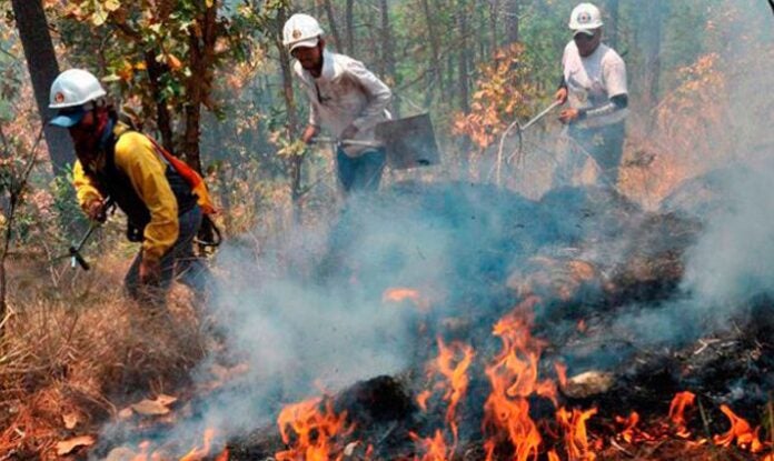 Incendios hectáreas de bosque Honduras