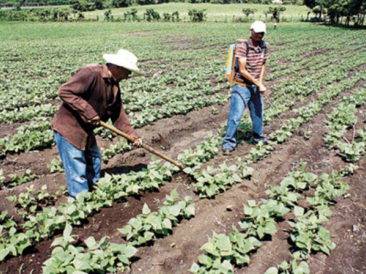 aGRICULTORES 