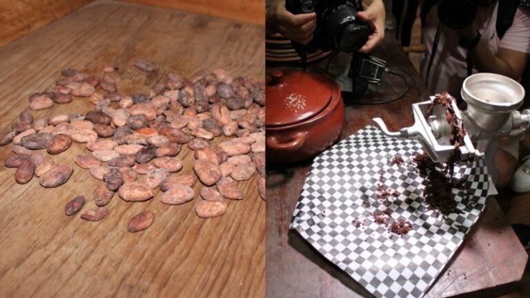 Tours de cacao, una actividad interesante en Copán Ruinas