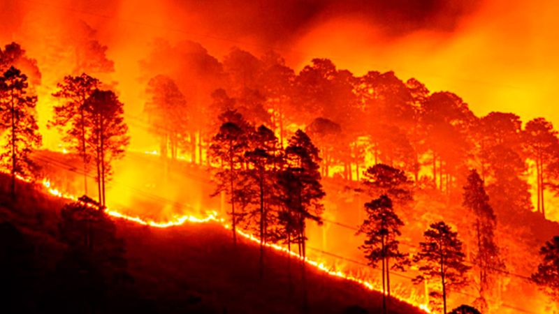 Incendios forestales en Honduras en 2024