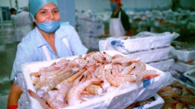 Honduras exporta primeros dos contenedores de camarón hacia China