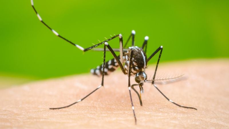 Dengue Centroamérica