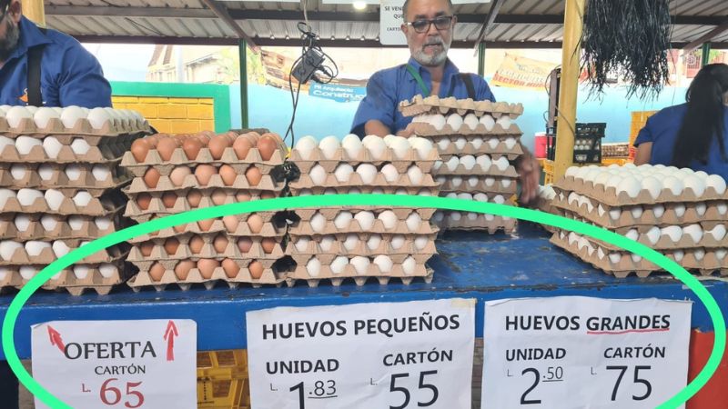 Cartón huevos mercados