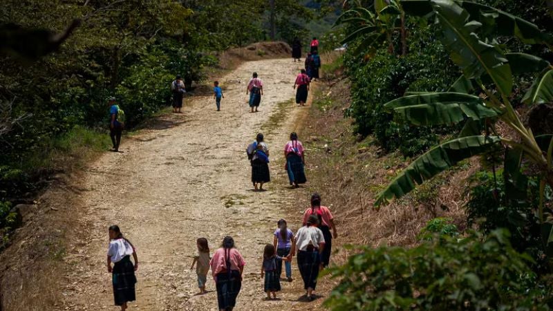 Cientos de mexicanos buscan refugio en Guatemala debido a la violencia en Chiapas