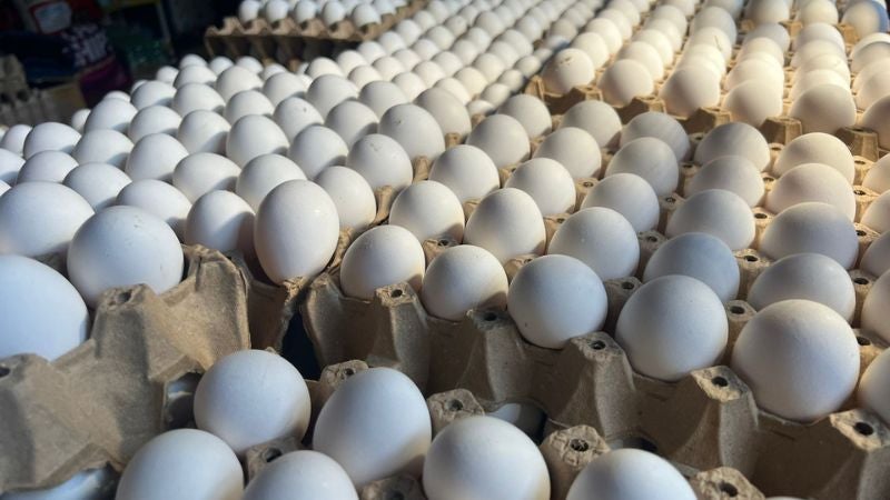 precio cartón de huevos