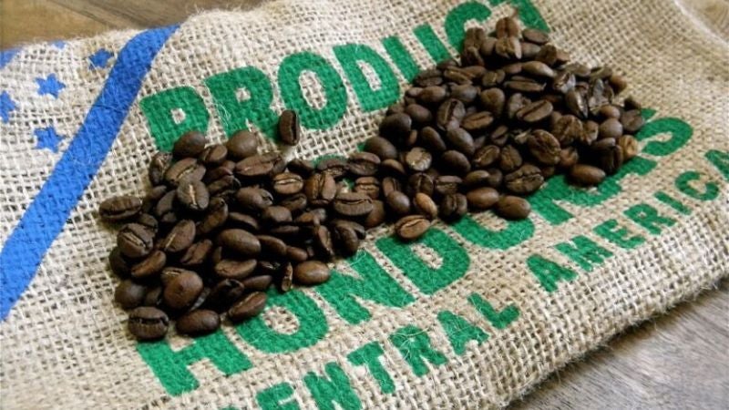 calidad café Honduras