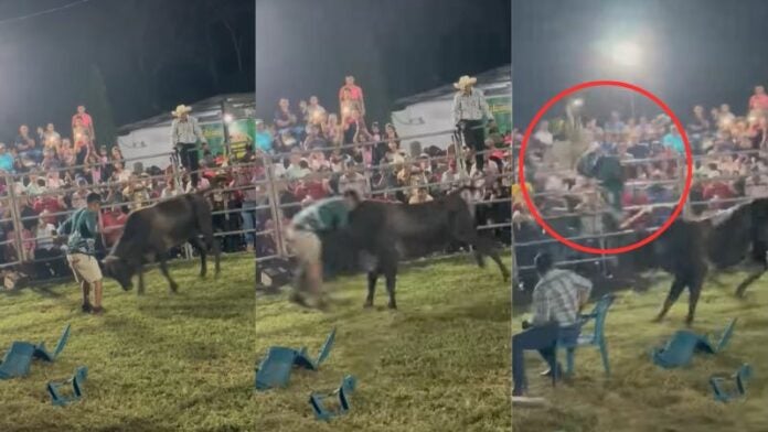 Joven es embestido y corneado por un toro en Colón