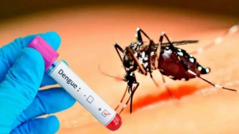 Matheu: No han actuado de la manera más diligente para combatir el dengue