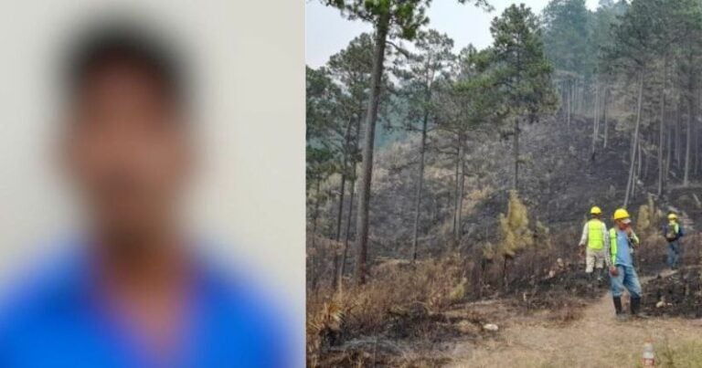 Prisión Preventiva para supuesto responsable de incendiar reserva biológica El Chile