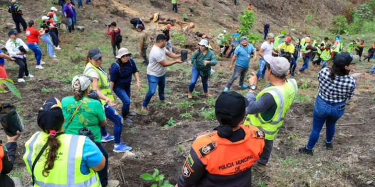 Colaboradores y vecinos participan en jornada de reforestación en El Merendón