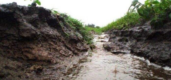 terrenos pueden ceder lluvias