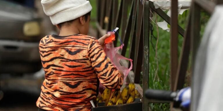 Trabajo infantil en Honduras: más de medio millón de niños explotados