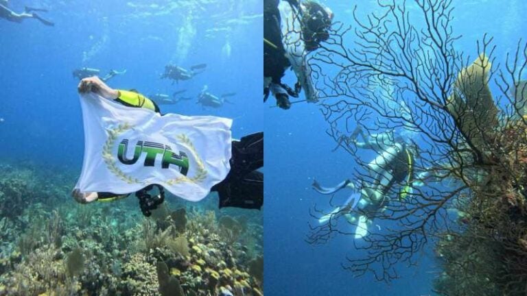 UTH buceo científico