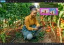 microsoft-designer-photos-5