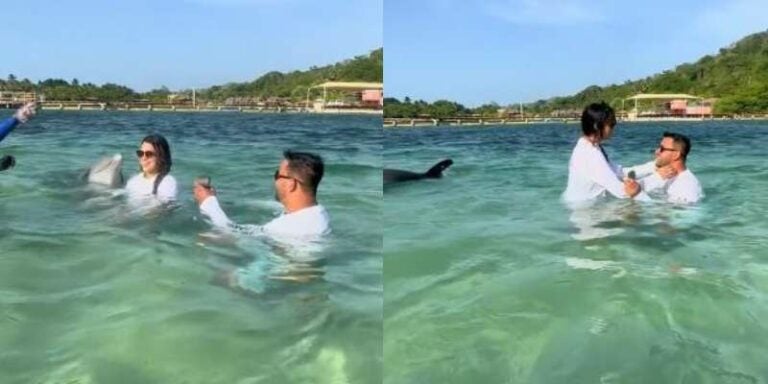 Nicaragüense le propone matrimonio a su novia con delfines en Roatán