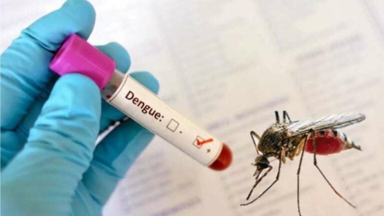 Honduras muertos dengue