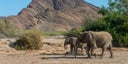 africa-4