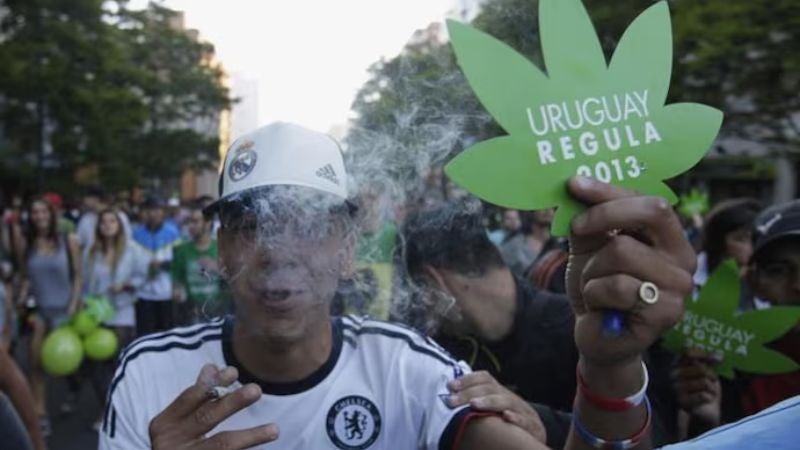 Cuatro de cada diez uruguayos desconfían del sistema de regulación de la legalidad de la marihuana