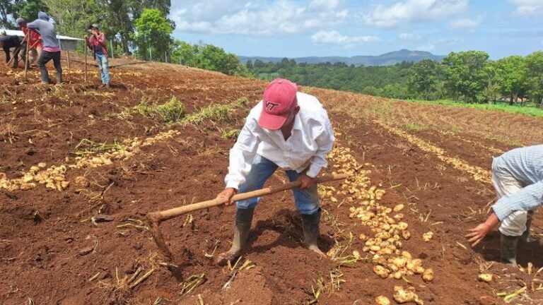 Censo agropecuario Honduras