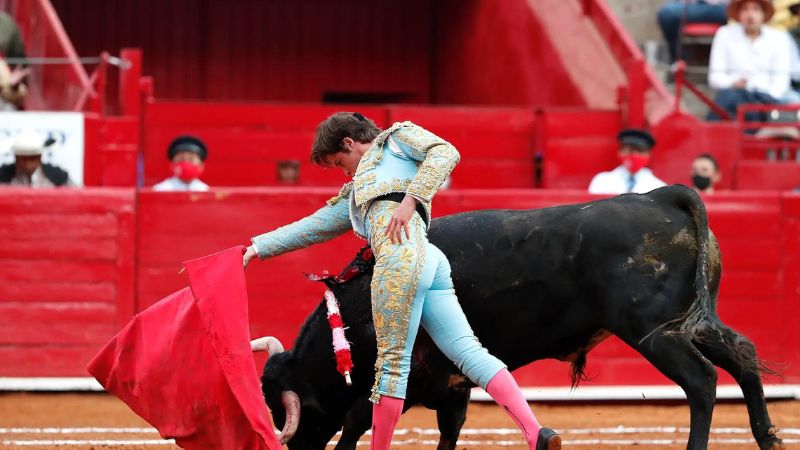 Muchos defensores están en contra de espectáculos con animales. 