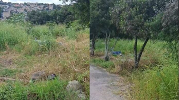 Denuncian abandono del Cementerio Santa Anita de TGU