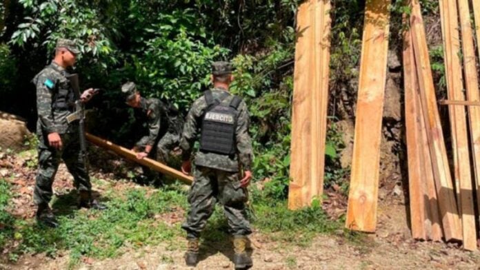 Decomisan tablas de madera de pino en Yoro