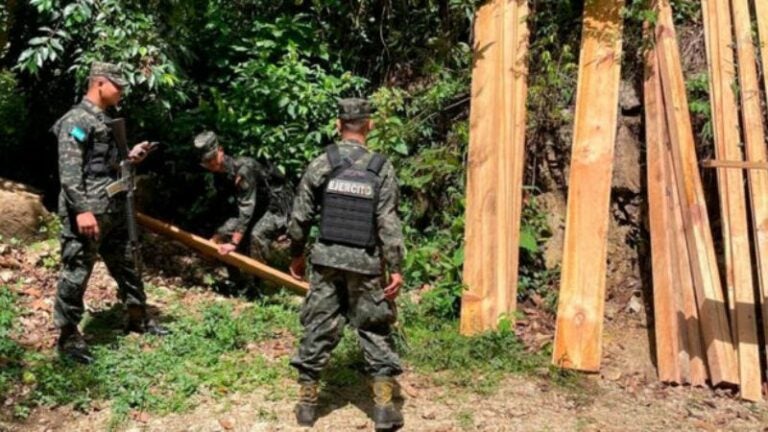 Decomisan tablas de madera de pino en Yoro