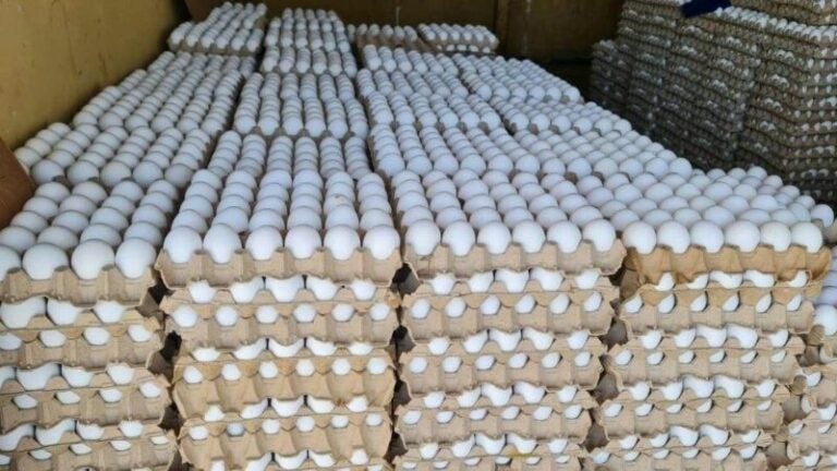 El precio del cartón de huevos aumenta en la capital