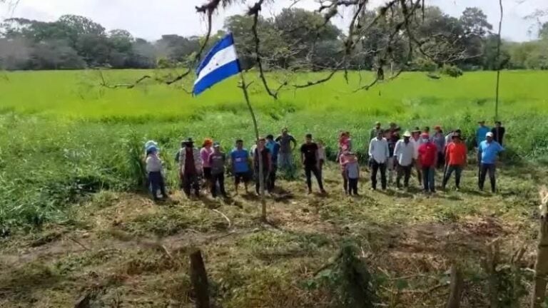 Crimen organizado invade tierras OABI