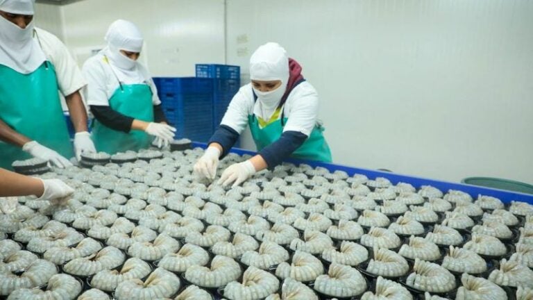 exportación camarón hondureño a China