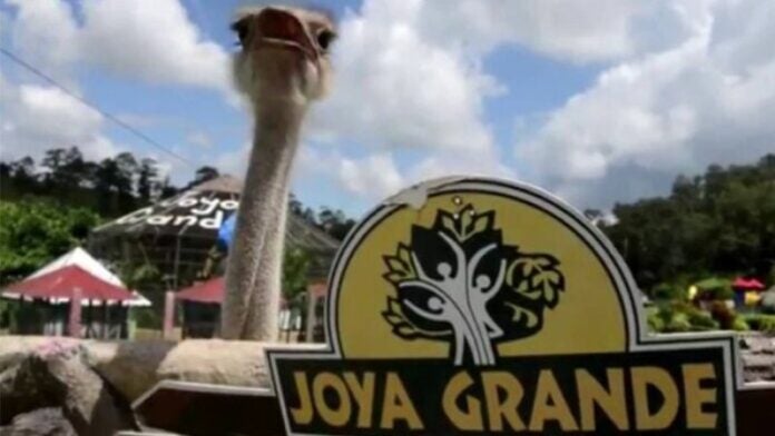 El 1 de septiembre reaperturan visitas en zoológico Joya Grande