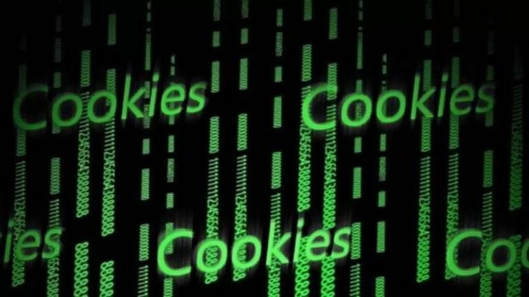 Qué son las cookies y qué pasa si las acepta en internet