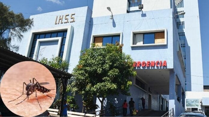 Menor de un año muere por dengue en el IHSS