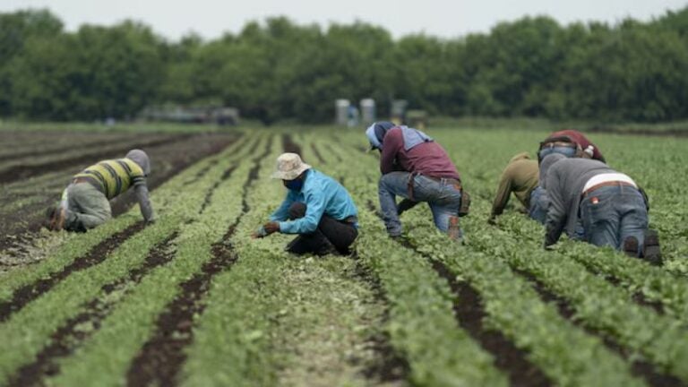 Migrantes