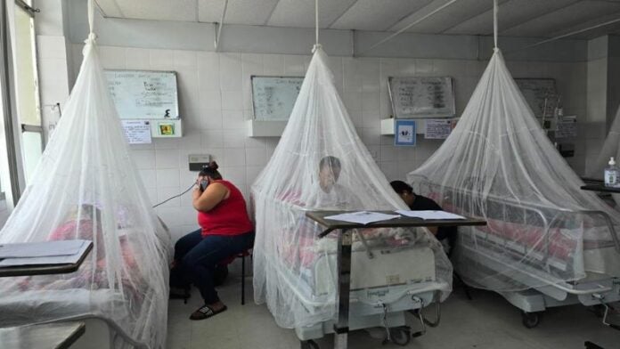 Registra 137 muertes por dengue a nivel nacional